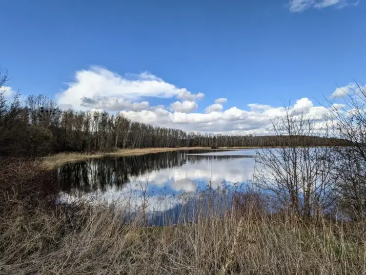 Dzierżno Duże - co warto wiedzieć przed wizytą nad wodą