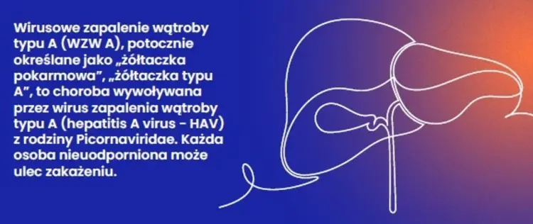WZW typu A - objawy, leczenie, profilaktyka i szczepienia