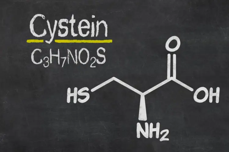 Cysteina - aminokwas czy marketing? Poznaj prawdę o suplementach