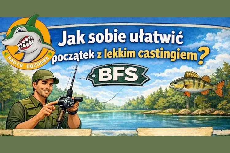Lekki casting na drapieżniki - Kiedy BFS daje realną przewagę?