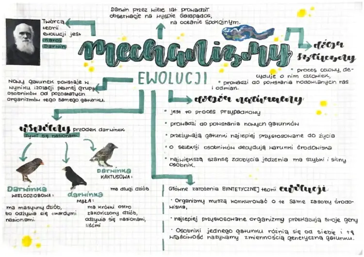 Teoria ewolucji - Jak to działa? Dobór naturalny i dowody