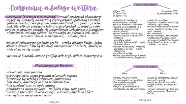 Werteryzm w literaturze - co to jest i jak go rozpoznać?