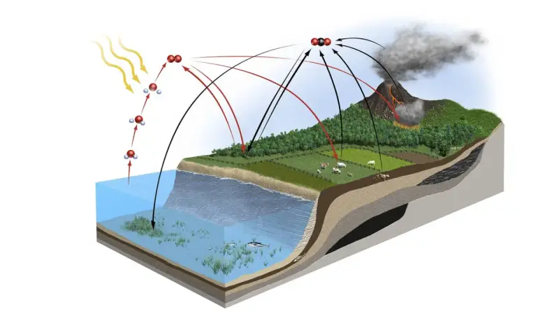 Schematische Darstellung des **Kohlenstoffkreislaufs**: Sonne, Wasser, Pflanzen, Tiere, Vulkan und Kohle zeigen den Austausch von CO2.