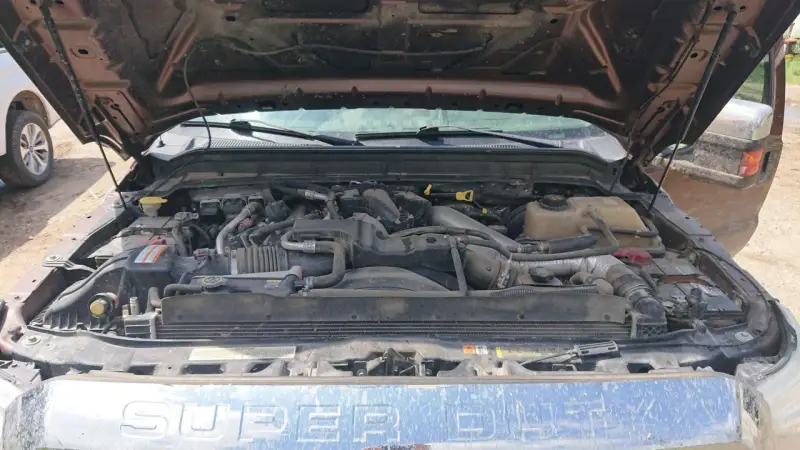 Silnik Ford F250 Super Duty. Otwarta maska odsłania skomplikowany układ silnika, gotowy do pracy.