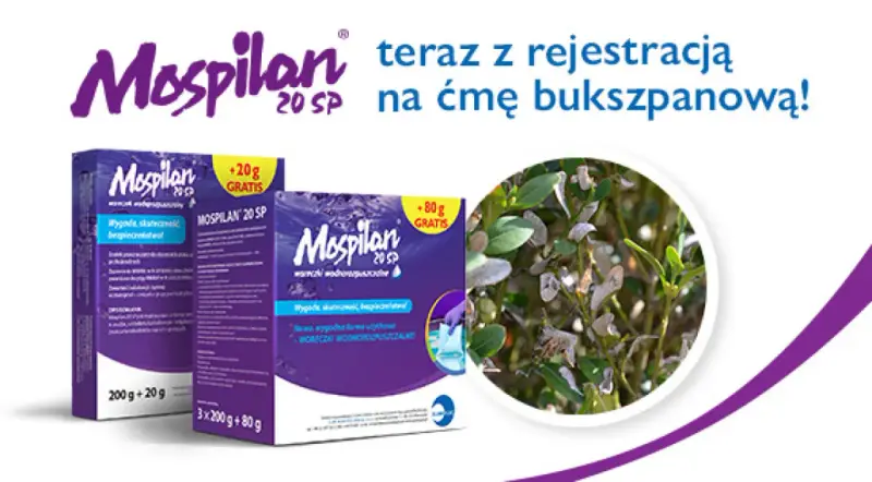 Mospilan na ćmę bukszpanową. Zwalcz szkodniki skutecznie i bezpiecznie. Opakowania z gratisem.