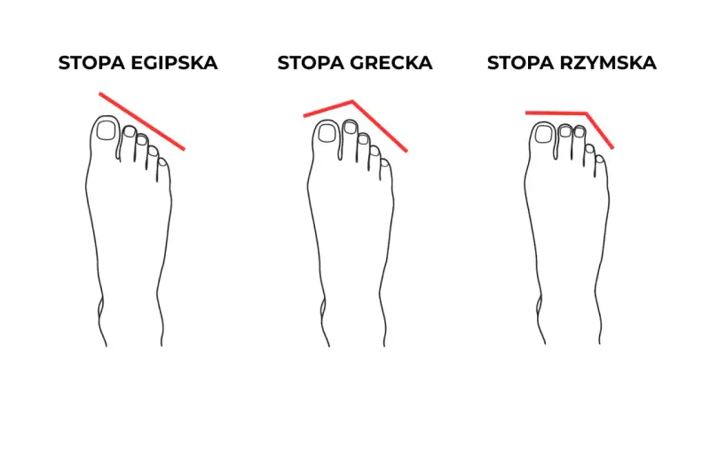 Ilustracja przedstawia trzy rodzaje stóp: egipską, grecką i rzymską, z zaznaczonymi liniami pokazującymi kształt palców.