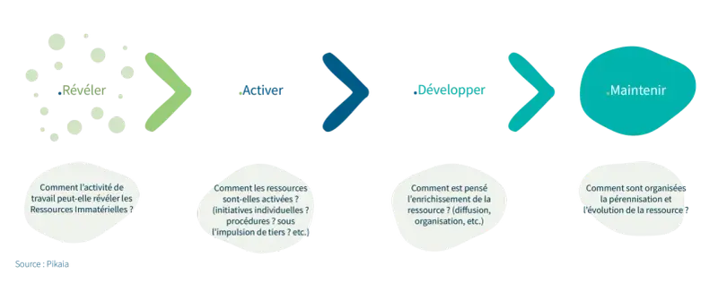 Schéma illustrant les étapes de gestion des ressources immatérielles : Révéler, Activer, Développer, Maintenir.