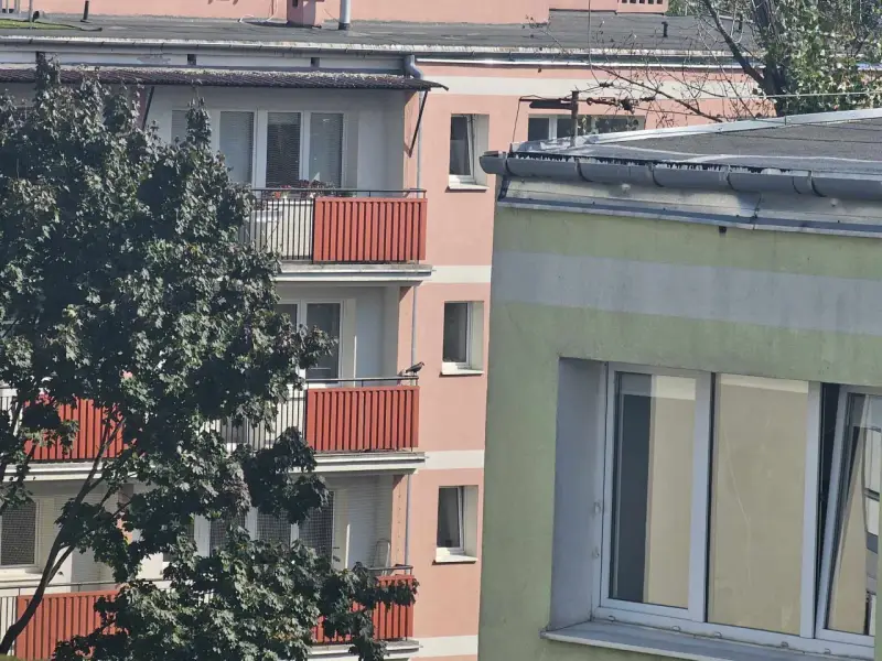 Ptak na balkonie bloku. Czy nowe przepisy o balkonach i tarasach podniosą opłaty na fundusz remontowy?