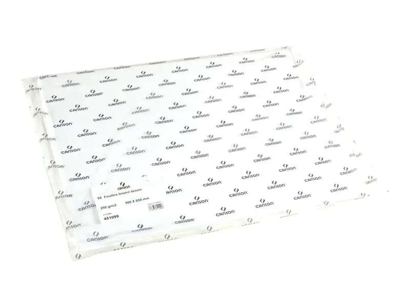 Un paquet de 50 feuilles de papier bristol Canson, idéal pour le dessin. Ce papier de 250 g/m² est prêt pour toute utilisation créative.