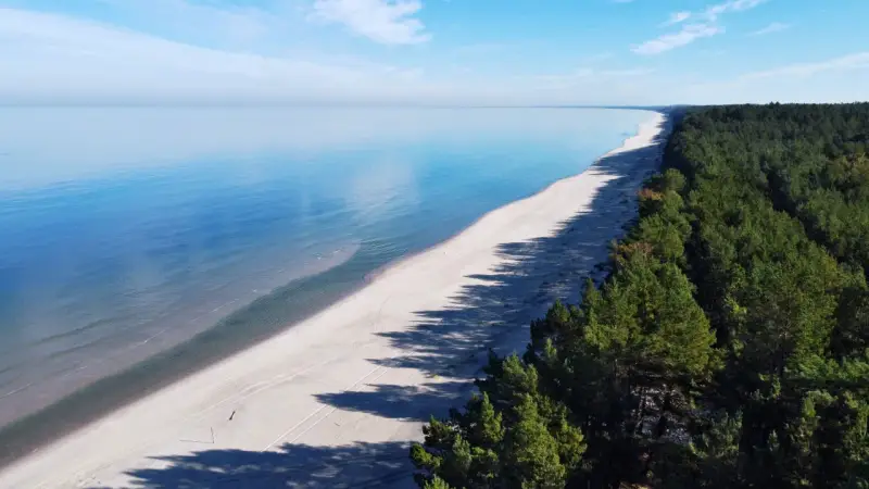Spokojne morze i piaszczysta plaża na mierzei wiślanej, otoczone gęstym lasem sosnowym.