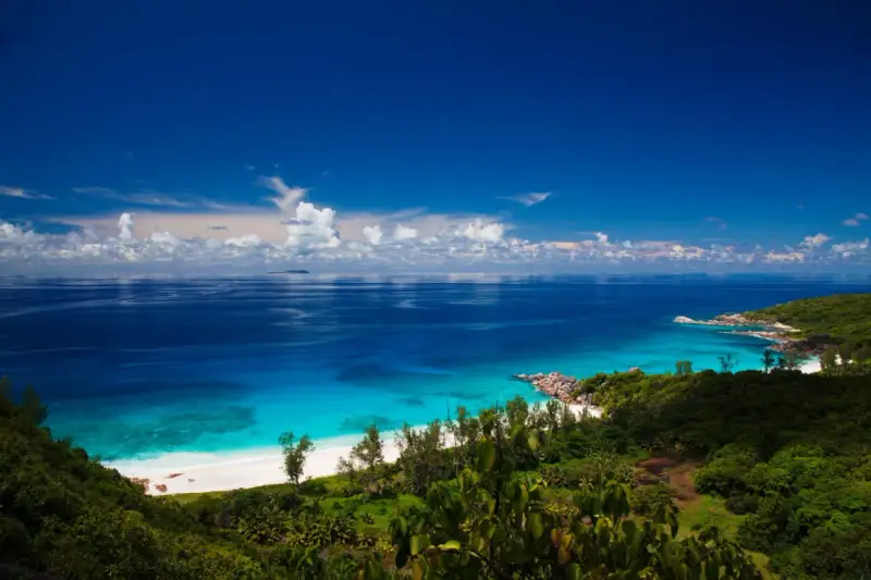 Zanzibar jaki ocean? Błękitne wody Oceanu Indyjskiego oblewają rajską plażę z białym piaskiem, otoczoną bujną zielenią.
