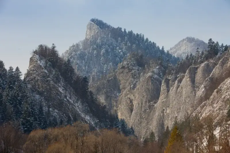 Zimowy krajobraz skalnych szczytów i lasów w Pieninach Słowackich. Śnieg pokrywa drzewa i zbocza gór.