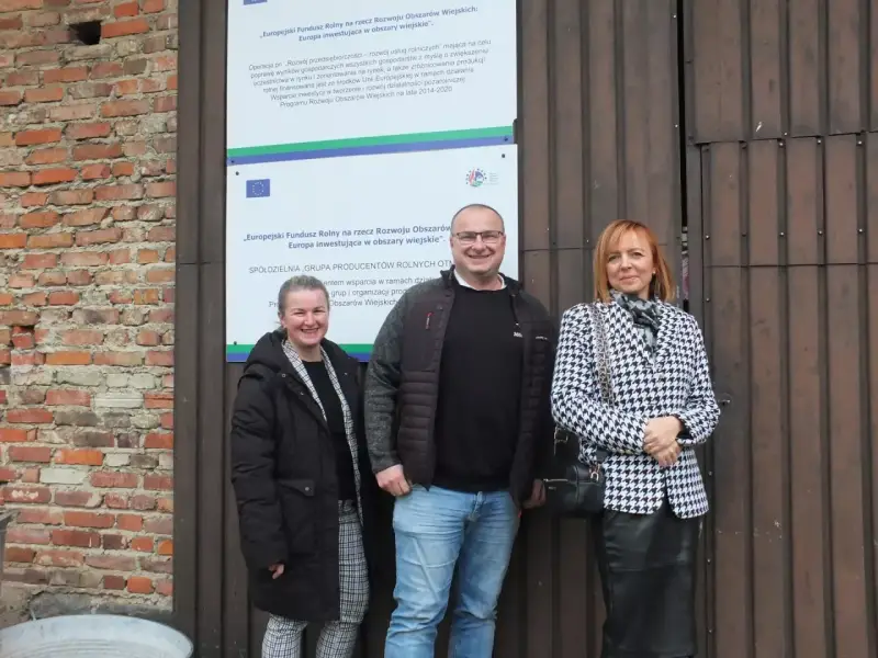 Kto rządzi spółdzielnią? Poznaj swoje prawa i strukturę