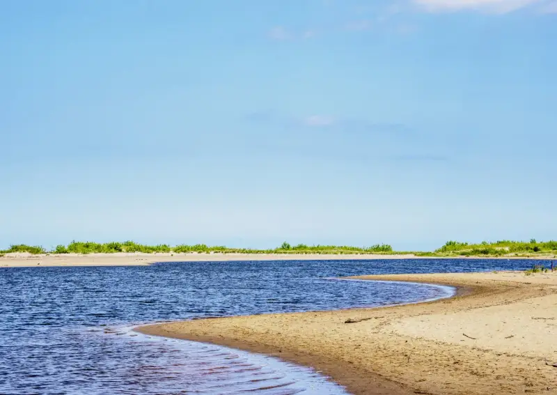 Szeroka, piaszczysta plaża i spokojne wody w miejscu, gdzie Wisła wpada do morza. Zielone zarośla na horyzoncie.