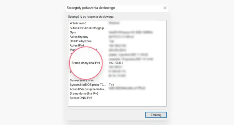Szczegóły połączenia sieciowego: Brama domyślna IPv4 to adres IP routera 192.168.0.1.