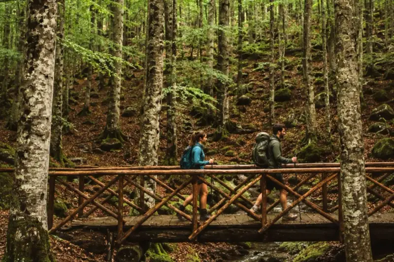 Co fare sul Monte Amiata: escursionisti attraversano un ponte di legno in un bosco di faggi.