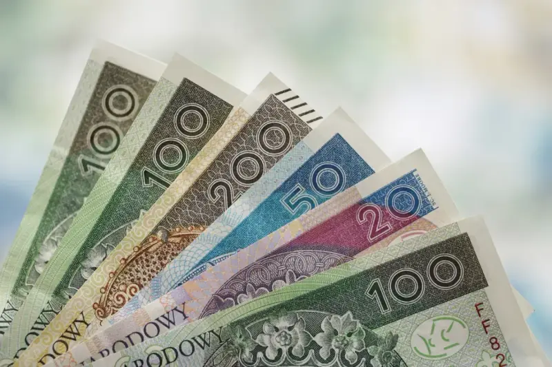 Różne nominały polskich banknotów ułożone wachlarzowo. Zastanawiasz się, ile wynosi świadczenie pielęgnacyjne?