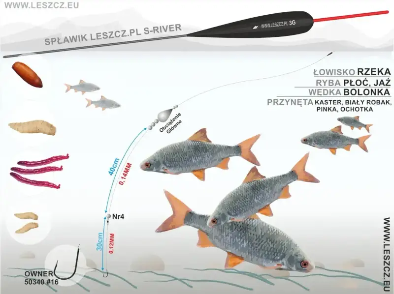 Jaki spławik na rzekę? Ilustracja pokazuje zestaw do połowu płoci i jaź na bolonkę, z przynętami: kaster, biały robak, pinka, ochotka.