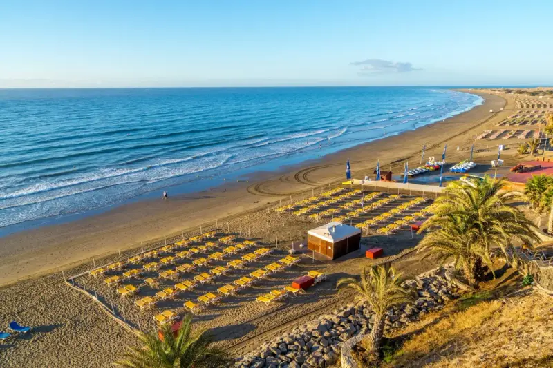 Plaża z rzędami żółtych leżaków, palmami i turkusowym morzem w słoneczny dzień.