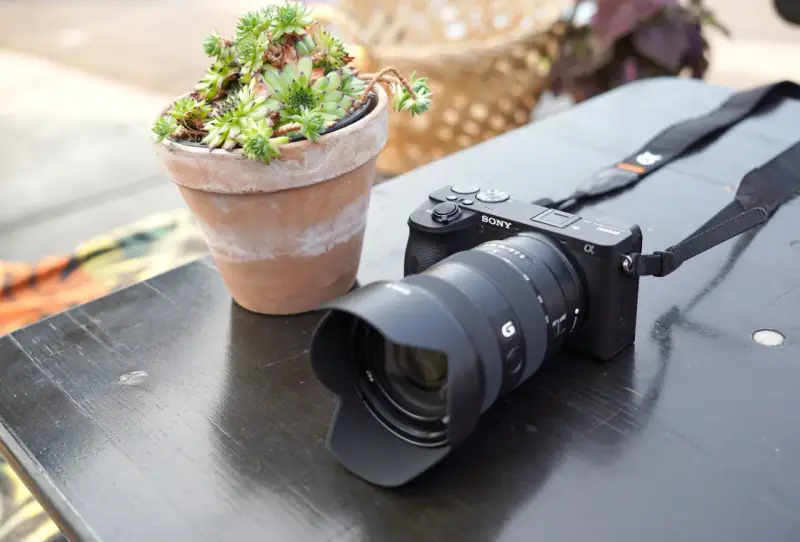 Cámara Sony a6600 con lente y suculenta en maceta sobre mesa de madera.