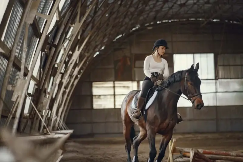 Une cavalière en tenue d'équitation monte un cheval brun dans un manège couvert. Le cheval est au trot, prêt pour une séance de demi pension cheval.