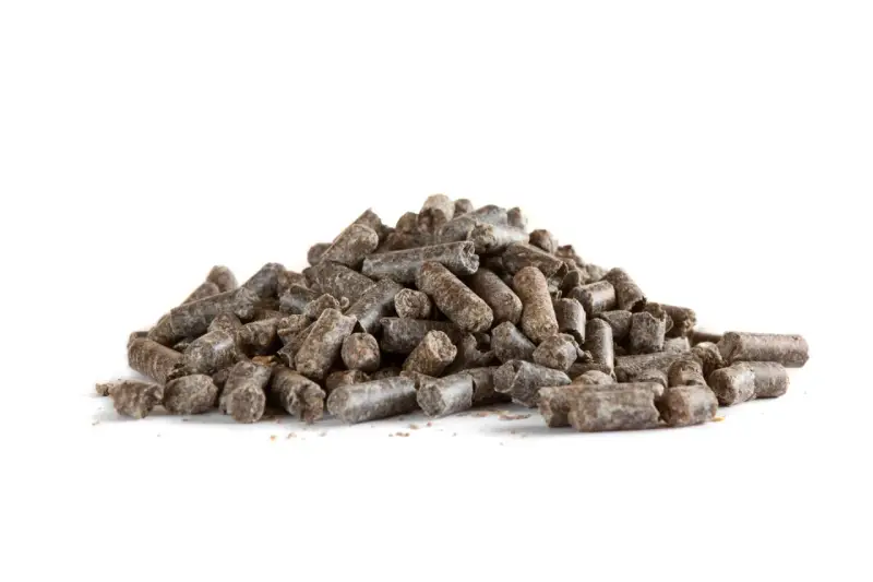 Un tas de pulpe de betterave cheval, des granulés sombres et secs, prêts à être distribués.
