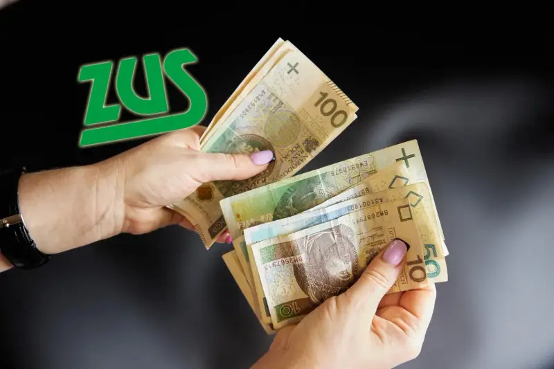 Ręce liczą pieniądze, a obok zielone logo ZUS. Czy to świadczy o tym, że czeka emerytura po mężu?