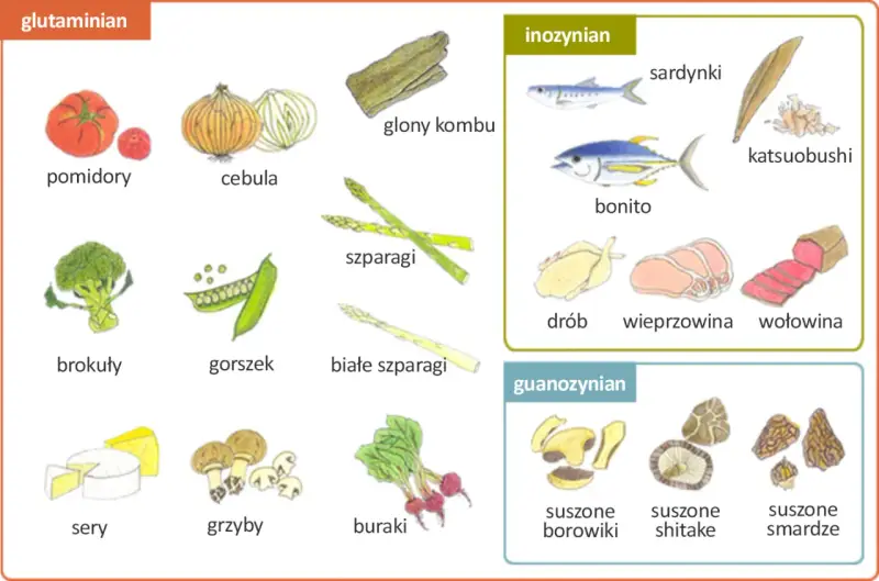 Ilustracja pokazuje produkty bogate w glutaminian, inozynian i guanozynian, które nadają potrawom smak umami.