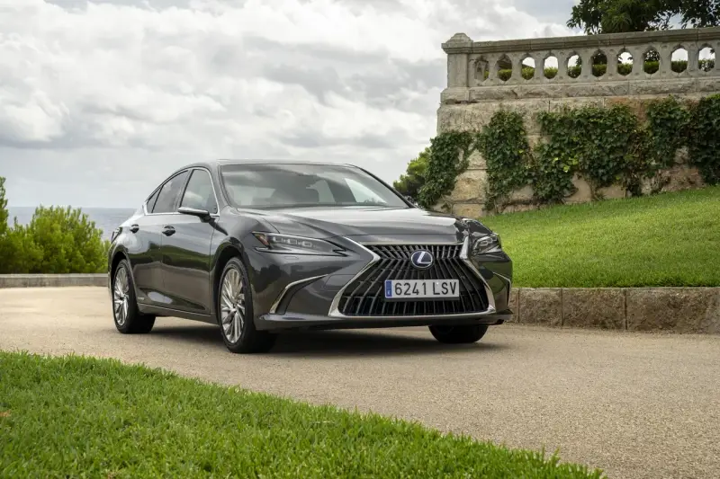 Elegancki, ciemnoszary Lexus 300h na tle kamiennego muru porośniętego bluszczem i zielonej trawy.