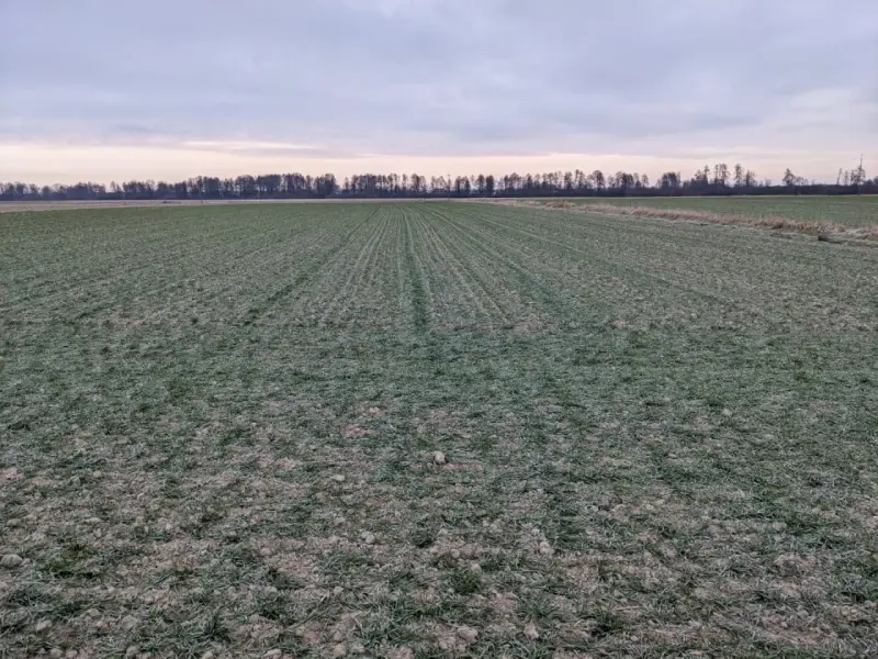 Zimowy krajobraz pól uprawnych na Lubelszczyźnie. Wartość ziemi rolnej w tym regionie jest kluczowa dla rolników.