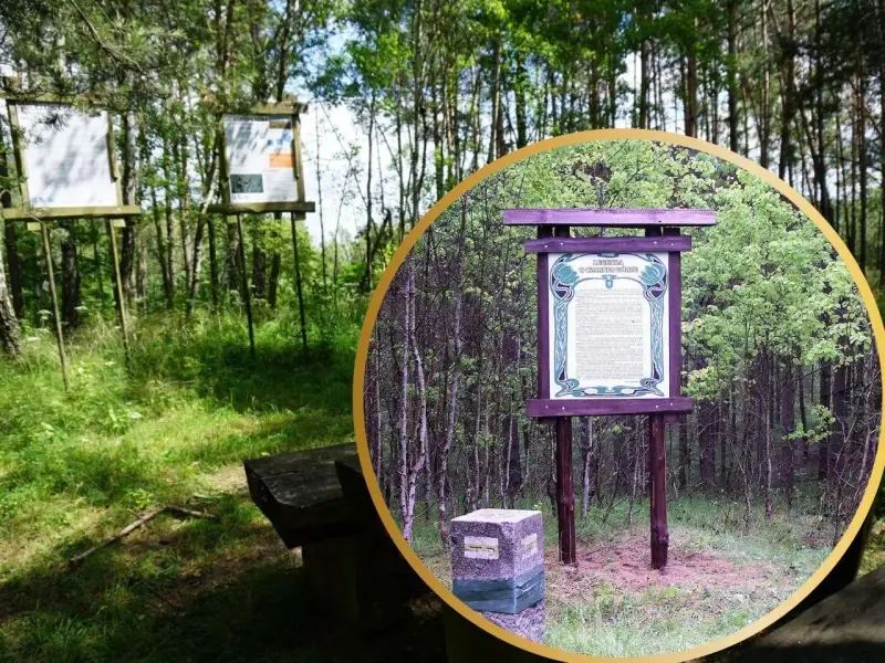 Tablica informacyjna o Czarnej Górze w Kujawsko-Pomorskiem, otoczona lasem.