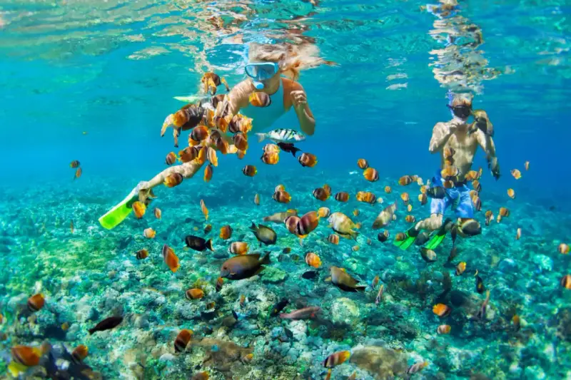 Två personer snorklar i Thailand, omgivna av en stim av färgglada fiskar över ett korallrev.