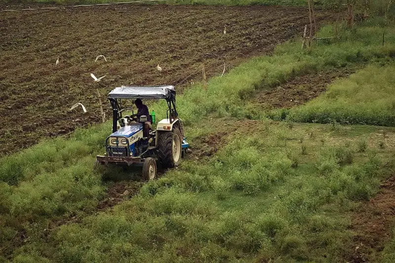 Traktor z kultywatorem pracuje na polu, spulchniając ziemię. Ptaki krążą nad pracującym rolnikiem.