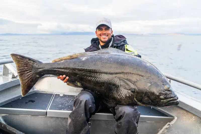 Lycklig fiskare med en enorm hälleflundra, ett bevis på framgångsrikt havsfiske i Norge.