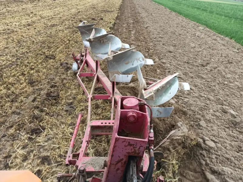 Czerwony pług z kilkoma lemieszami pracuje na polu, odwracając ziemię. Trwa regulacja pługa, przygotowując pole do siewu.