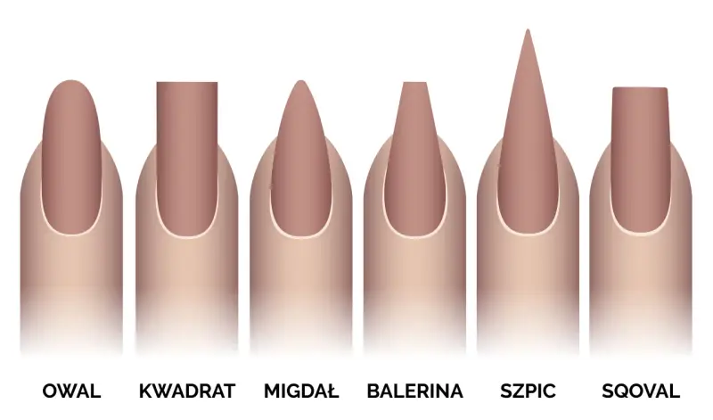 Ilustracja przedstawia sześć kształtów paznokci: owal, kwadrat, migdał, balerina, szpic i sqoval.