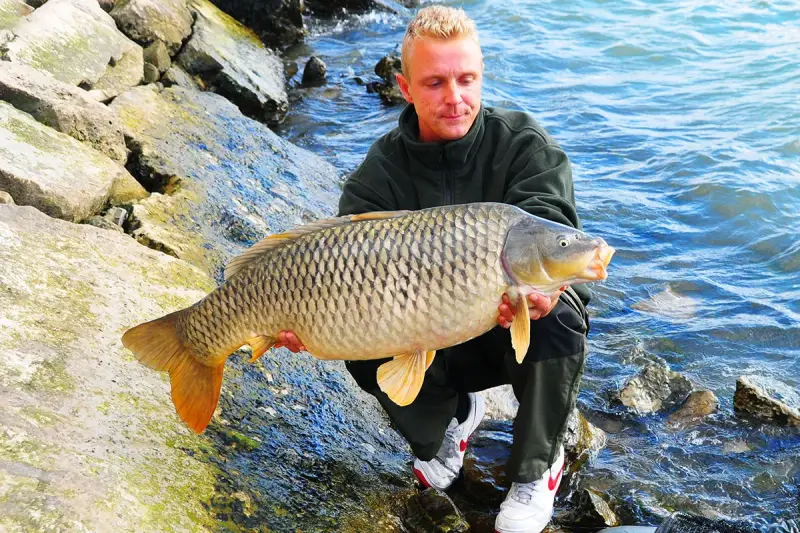 Szczęśliwy wędkarz z okazałym karpiem złowionym nad rzeką Rio Ebro.