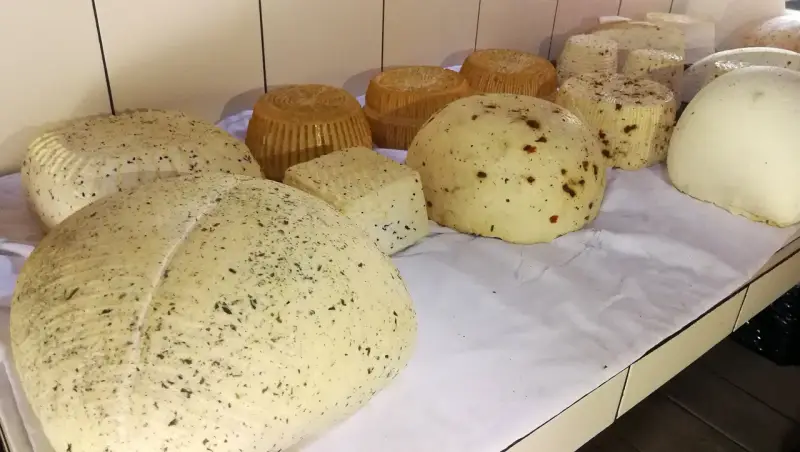 Różne rodzaje serów owczych, niektóre z ziołami, inne z papryczką, prezentowane na białym obrusie.