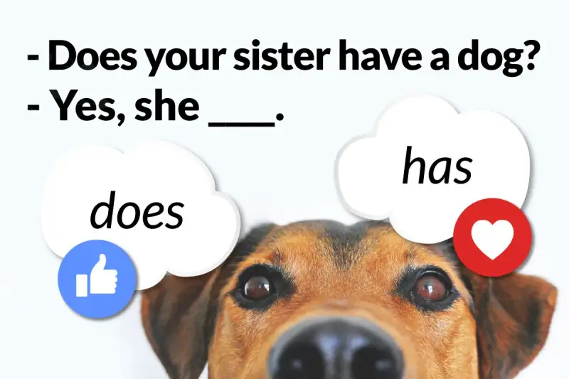 Piesek uczy angielskiego: "Does your sister have a dog?" - "Yes, she has.