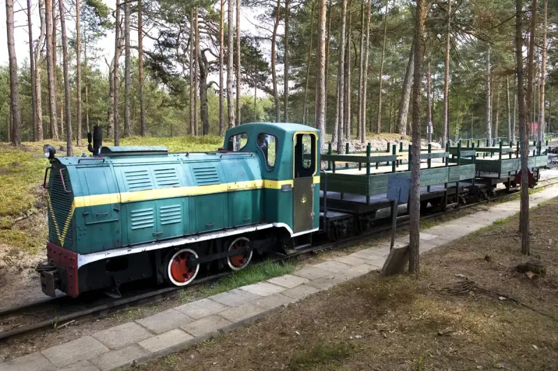 Zielona lokomotywa z żółtym pasem i wagonami na torach leśnych. Pociąg nawiązuje do historii muzeum obrony wybrzeża.