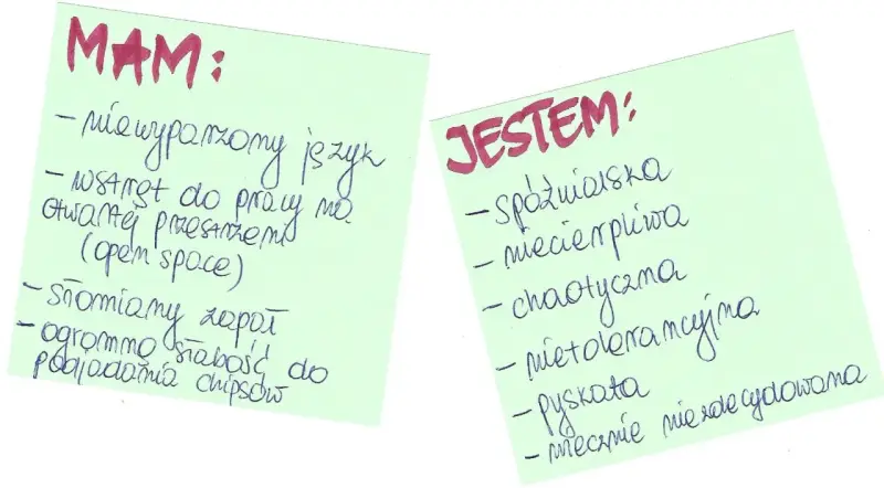 Rozmowa o pracę: "Mam: niewyparzony język, wstręt do pracy w open space, słomiany zapał, słabość do chipsów. Jestem: spóźnialska, niecierpliwa, chaotyczna, nietolerancyjna, pyskata, niezdecydowana.