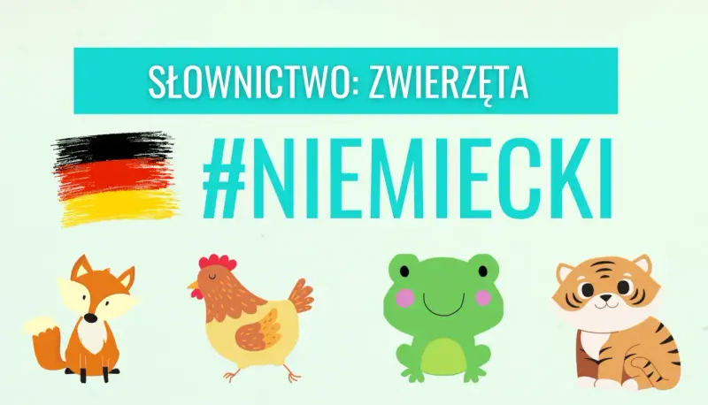 Słownictwo: zwierzęta po niemiecku. Lis, kura, żaba i tygrys uczą się języka. #NIEMIECKI