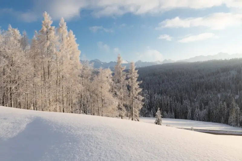 Zimowy krajobraz Bieszczad. Śnieg pokrywa wzgórza i lasy, a drzewa są oszronione. Słońce przebija się przez chmury, tworząc magiczną atmosferę.