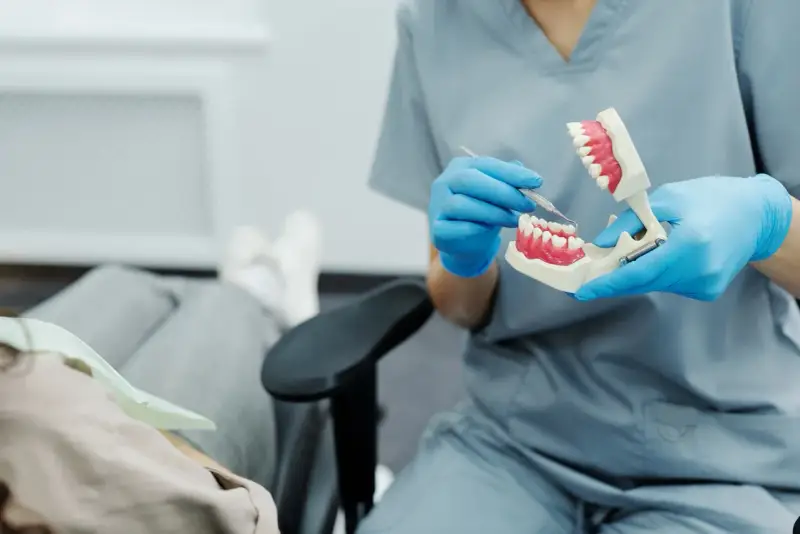 Dentysta pokazuje na modelu, jak radzić sobie z bólem, gdy rosnący ząb mądrości sprawia kłopoty.