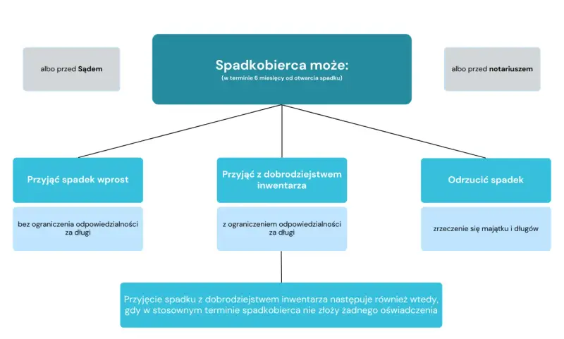 Schemat przedstawia opcje spadkobiercy: przyjąć spadek wprost, z dobrodziejstwem inwentarza lub odrzucić. Dotyczy to dziedziczenia ustawowego.