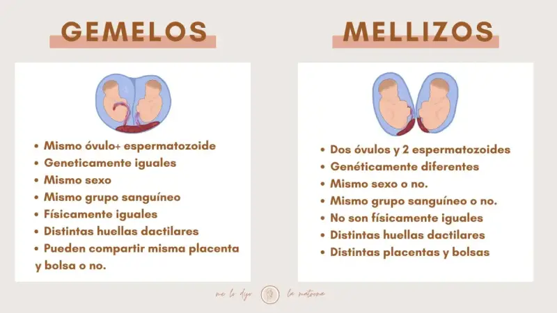 Infografía que explica la diferencia entre gemelos y mellizos, mostrando sus orígenes y características.