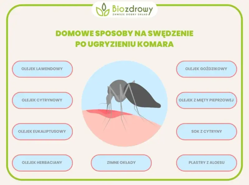 Domowe sposoby na ukąszenia komarów: olejki lawendowy, cytrynowy, goździkowy, z mięty pieprzowej, eukaliptusowy, herbaciany, sok z cytryny, zimne okłady i plastry z aloesu.