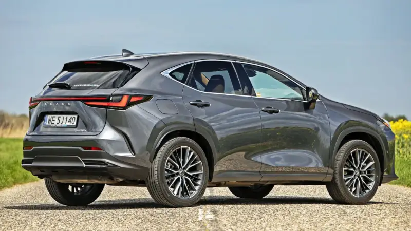 Szary Lexus NX 450h+ na drodze, w tle pole rzepaku. Sprawdź aktualną lexus nx cena.