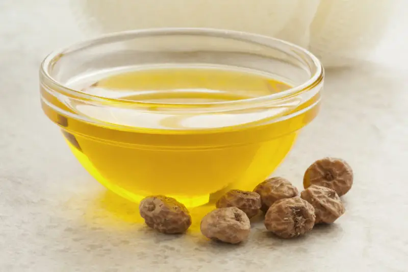Huile dorée dans un bol en verre, entourée de noix de terre. Découvrez les noix de terre bienfaits pour une peau éclatante et une santé optimale.