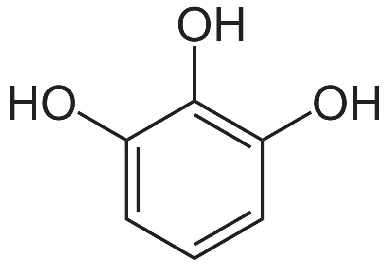 Chemische Struktur von Pyrogallol, einem Derivat des Phenols mit drei Hydroxylgruppen am Benzolring.